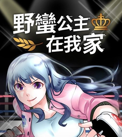 野蛮公主在我家封面